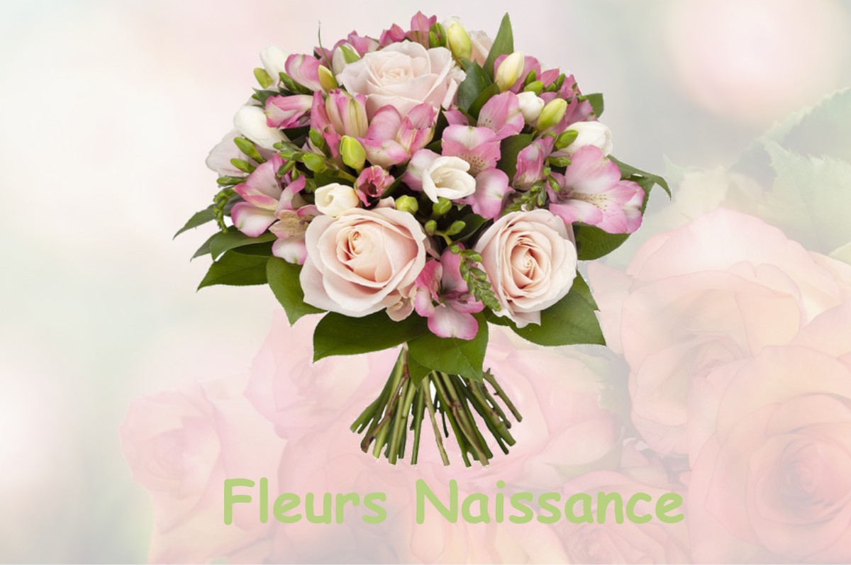 fleurs naissance THEYS