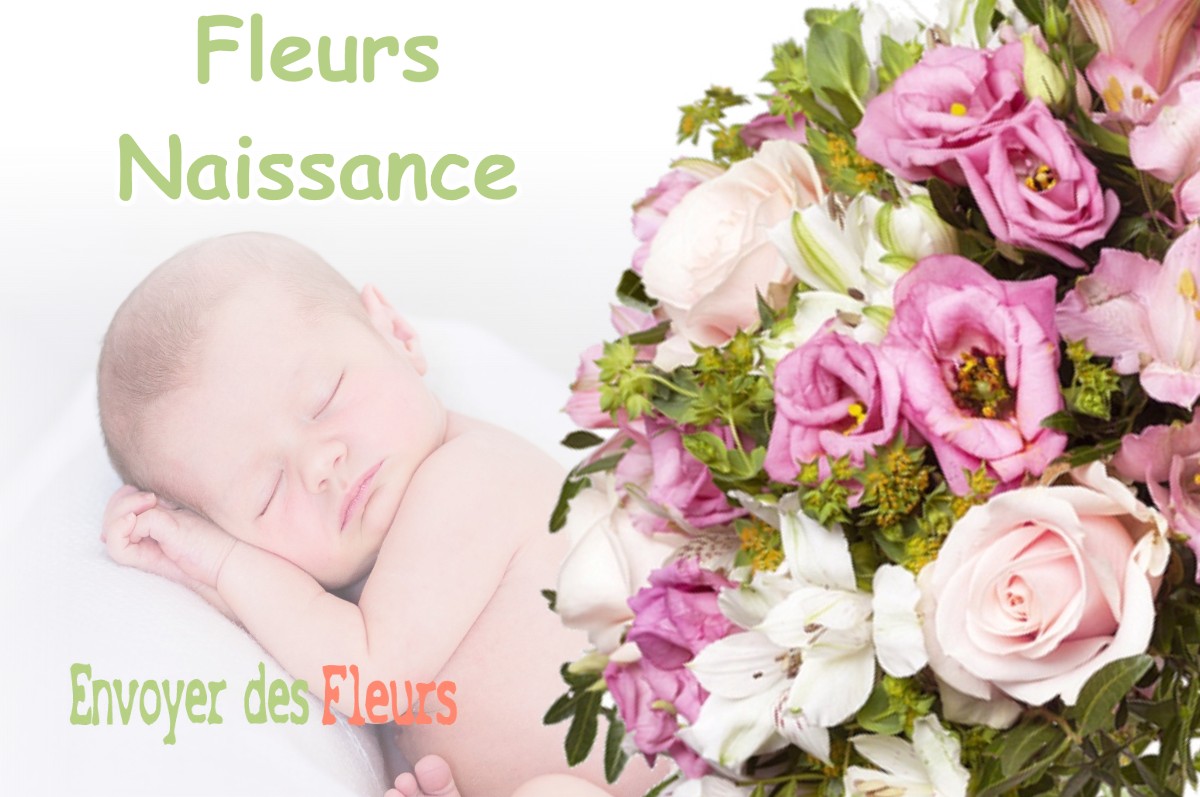 lIVRAISON FLEURS NAISSANCE à THEYS