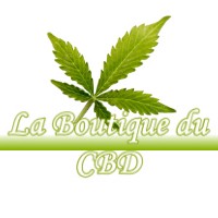 LA BOUTIQUE DU CBD THEYS 